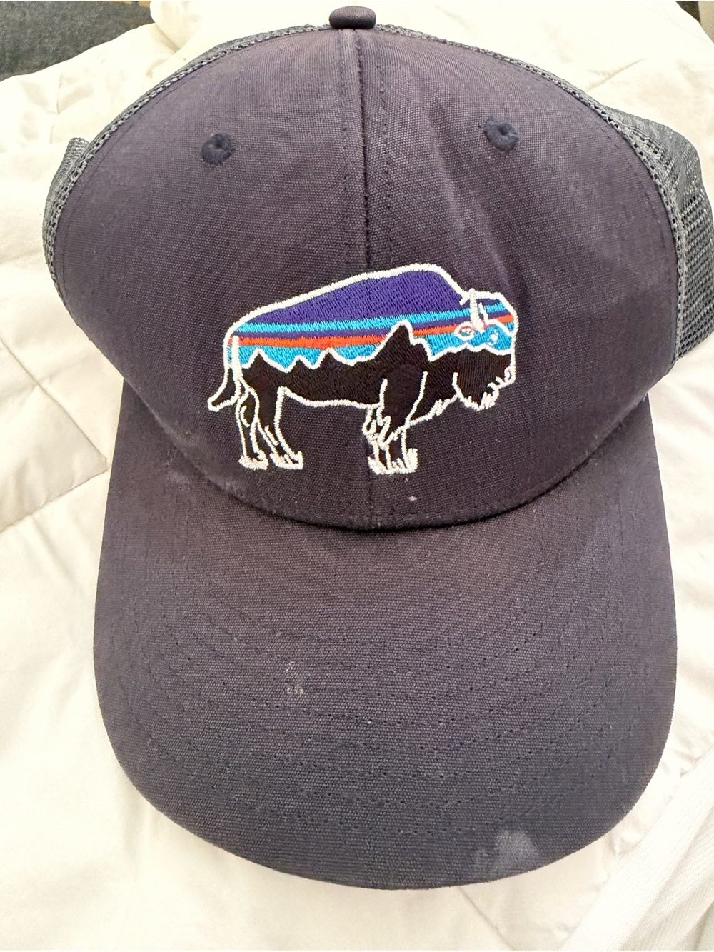 Patagonia Buffalo SnapBack Hat ~ Navy